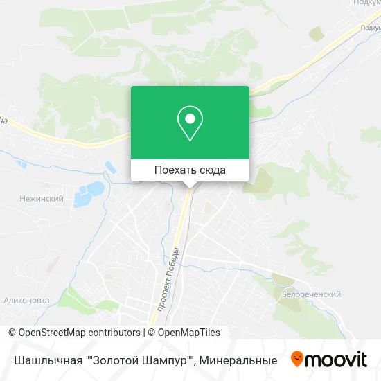 Карта Шашлычная ""Золотой Шампур""