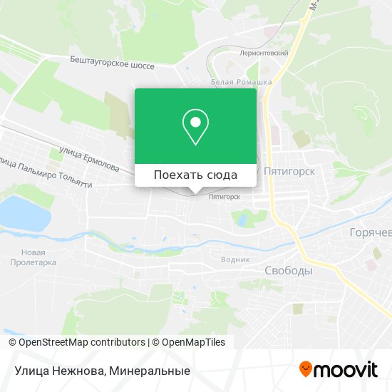 Карта Улица Нежнова