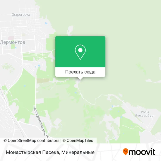 Карта Монастырская Пасека