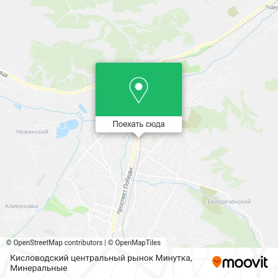 Карта Кисловодский центральный рынок Минутка