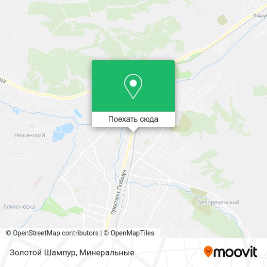 Карта Золотой Шампур
