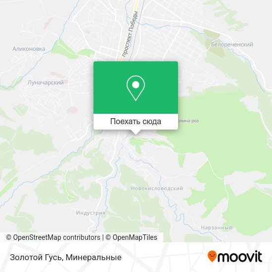 Карта Золотой Гусь