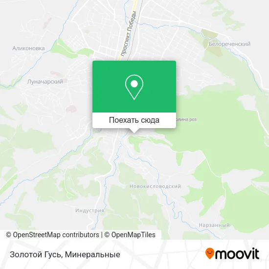 Карта Золотой Гусь