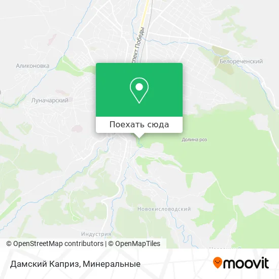 Карта Дамский Каприз