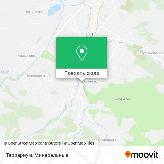 Карта Террариум