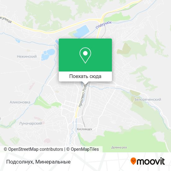 Карта Подсолнух