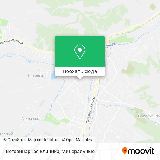 Карта Ветеринарная клиника