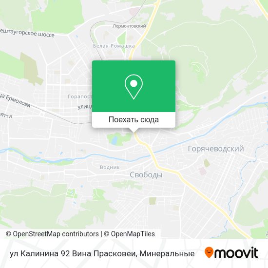 Карта ул Калинина 92 Вина Прасковеи