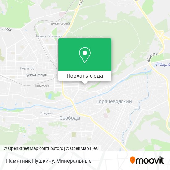 Карта Памятник Пушкину