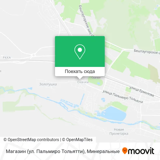 Карта Магазин (ул. Пальмиро Тольятти)