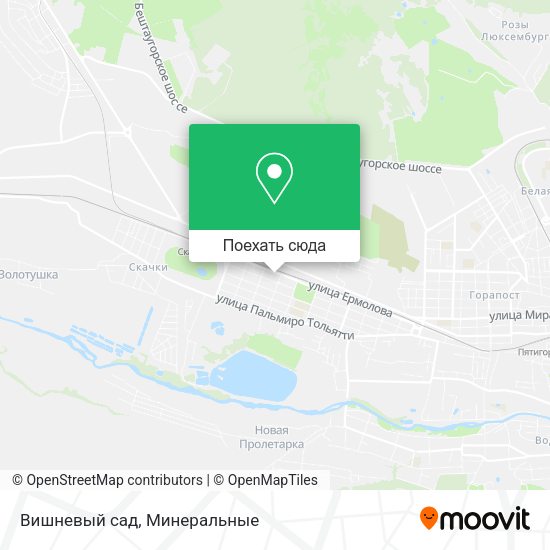Карта Вишневый сад