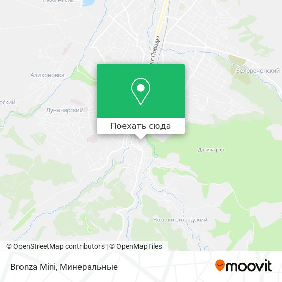 Карта Bronza Mini