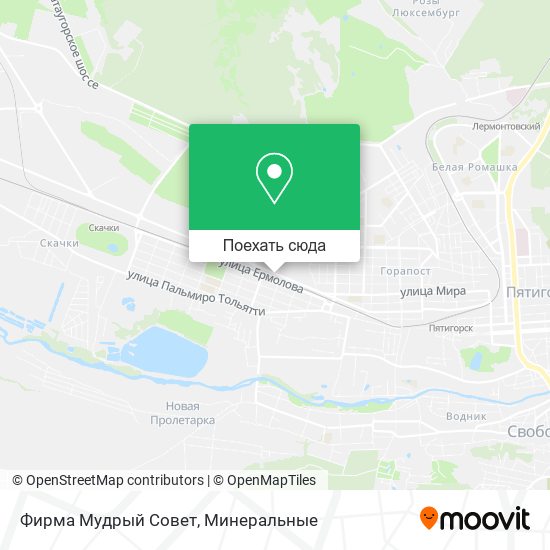 Карта Фирма Мудрый Совет