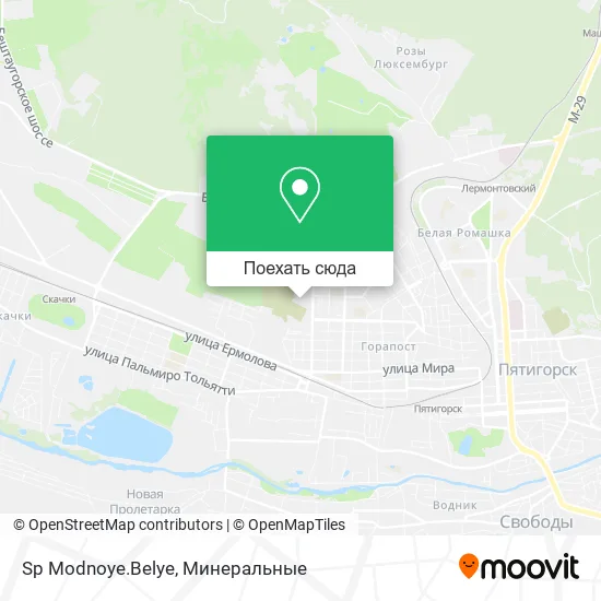 Карта Sp Modnoye.Belye