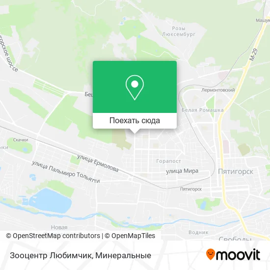 Карта Зооцентр Любимчик