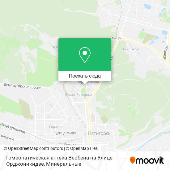 Карта Гомеопатическая аптека Вербена на Улице Орджоникидзе