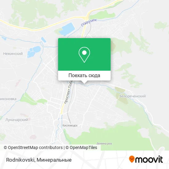 Карта Rodnikovski