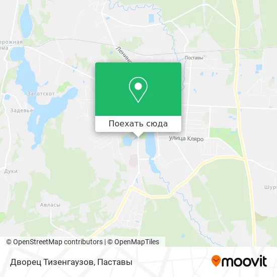 Карта Дворец Тизенгаузов