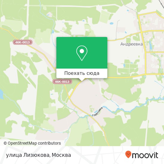 Карта улица Лизюкова