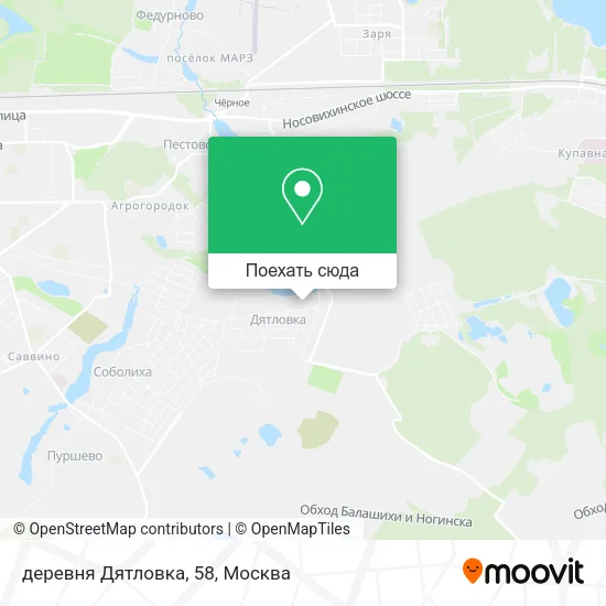 Карта деревня Дятловка, 58
