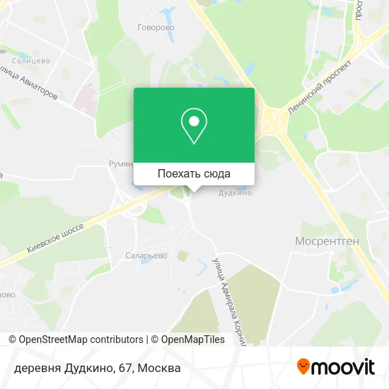 Карта деревня Дудкино, 67