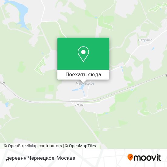 Карта деревня Чернецкое