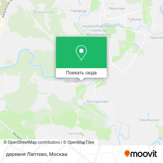 Карта деревня Лаптево
