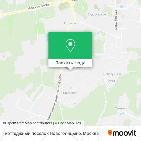 Карта коттеджный посёлок Новоголицыно
