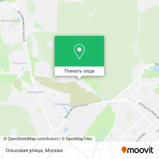 Карта Ольховая улица