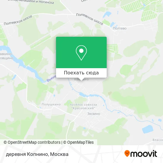 Карта деревня Копнино