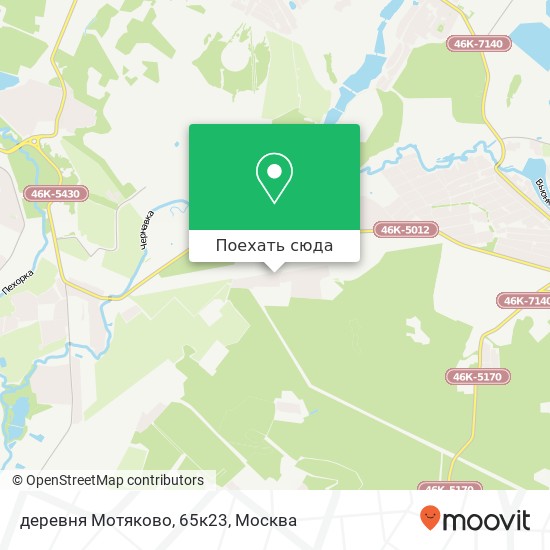 Карта деревня Мотяково, 65к23