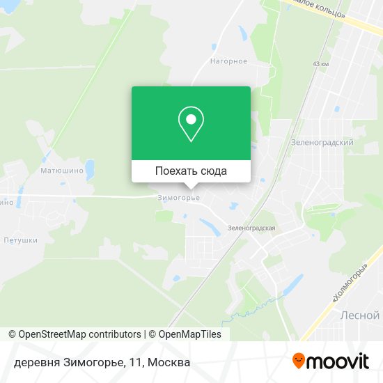 Карта деревня Зимогорье, 11