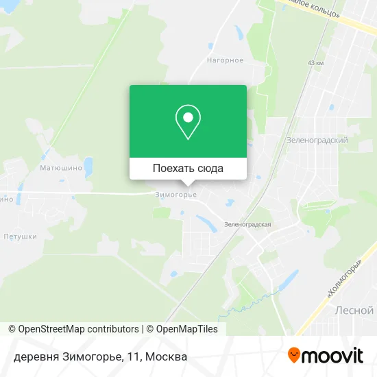 Карта деревня Зимогорье, 11