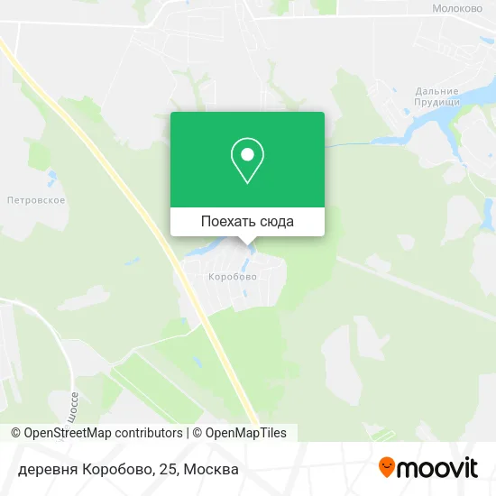 Карта деревня Коробово, 25