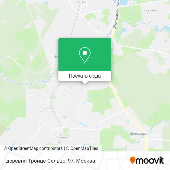 Карта деревня Троице-Сельцо, 97