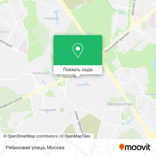 Карта Рябиновая улица