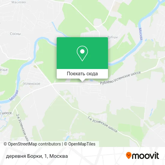 Карта деревня Борки, 1