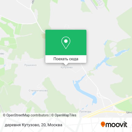 Карта деревня Кутузово, 20