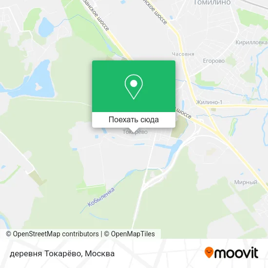 Карта деревня Токарёво