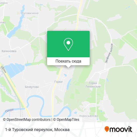 Карта 1-й Туровский переулок