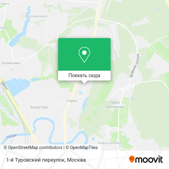 Карта 1-й Туровский переулок