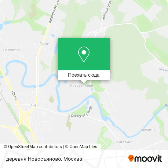 Карта деревня Новосъяново