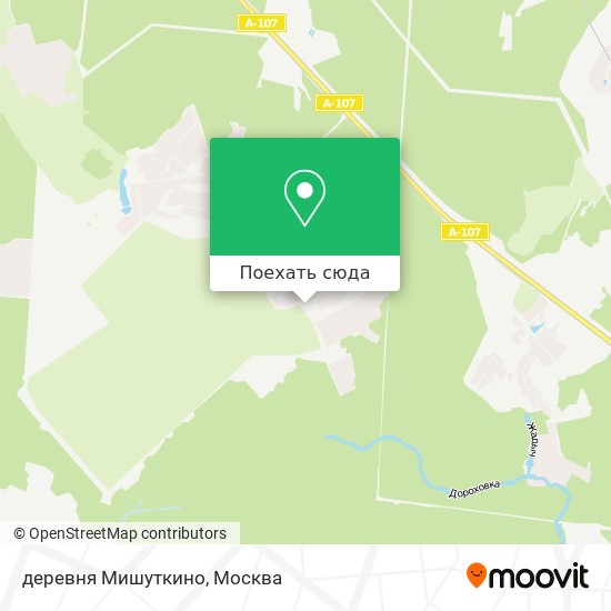 Карта деревня Мишуткино