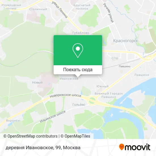 Карта деревня Ивановское, 99