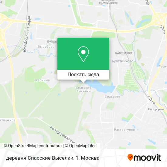 Карта деревня Спасские Выселки, 1