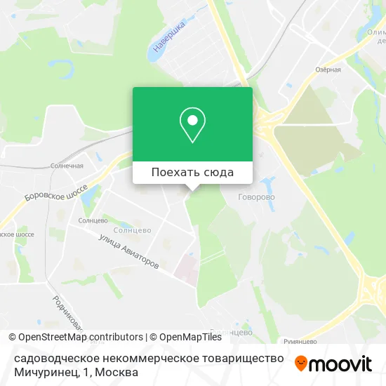 Карта садоводческое некоммерческое товарищество Мичуринец, 1