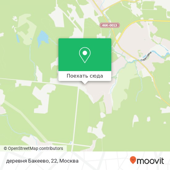 Карта деревня Бакеево, 22