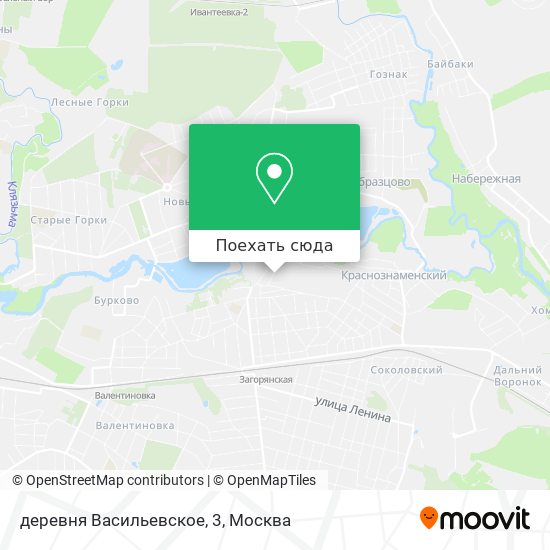 Карта деревня Васильевское, 3
