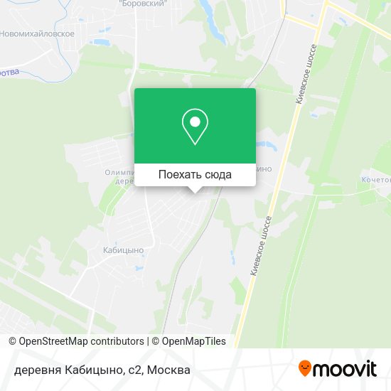Карта деревня Кабицыно, с2