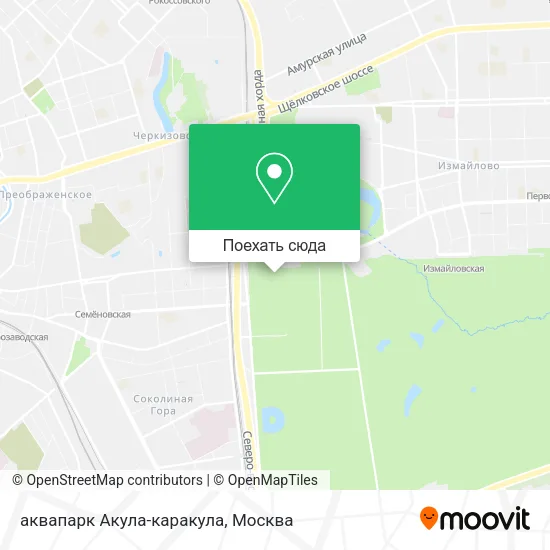 Карта аквапарк Акула-каракула